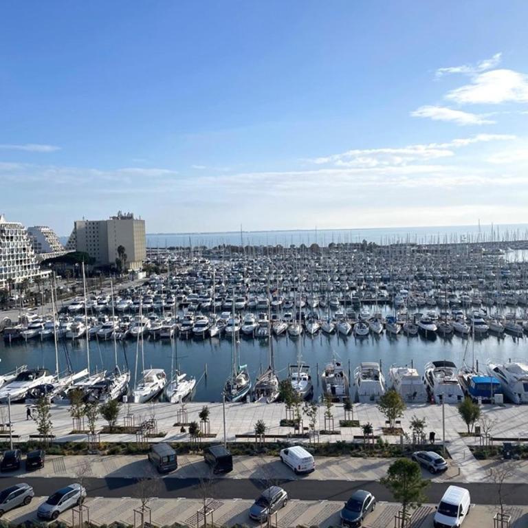 La Grande Motte: Appart 2 pers, Clim, Parking - FR-1-790-33 - Apartment - 10