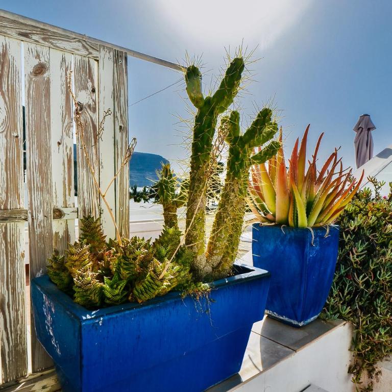 Casa Vivienne Perfectly Located Apartment With Roof Terrace In Puerto De Mogan Beach & Marina Gran Canaria - Apartamento de 2 dormitorios - 26