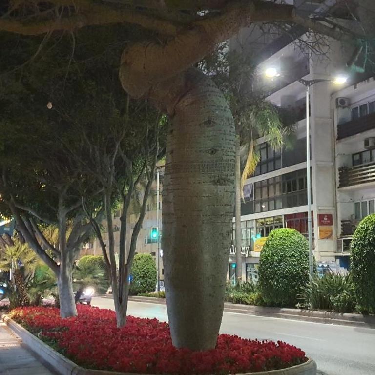 Casa Bonita - Two-Bedroom Apartment - 28
