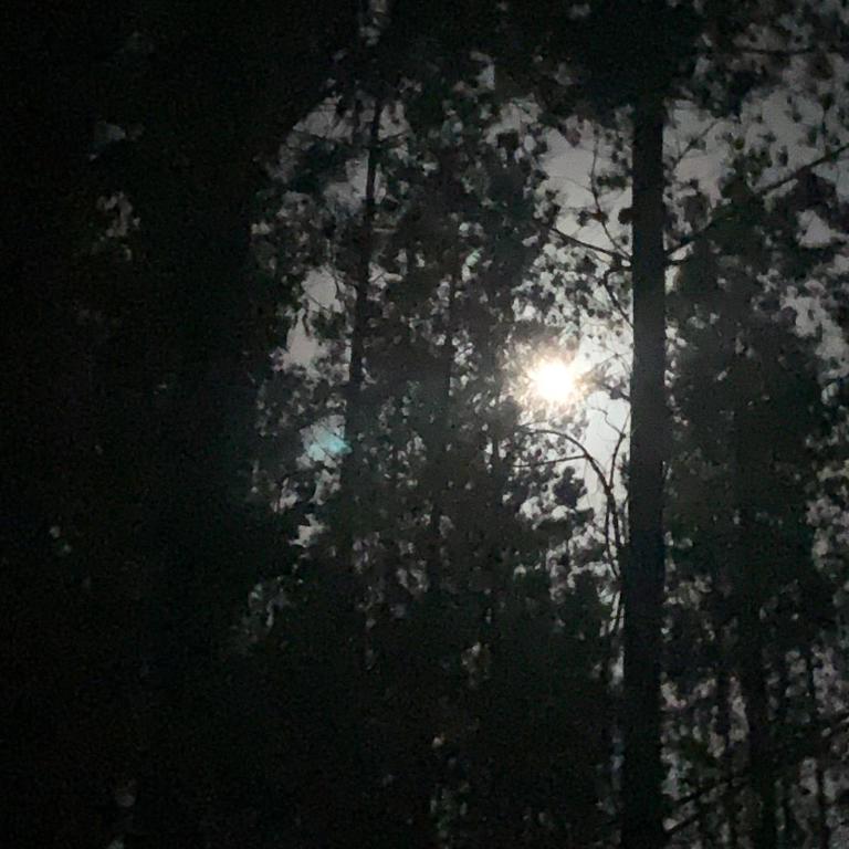 Cabaña en el Bosque - Two-Bedroom House - 32