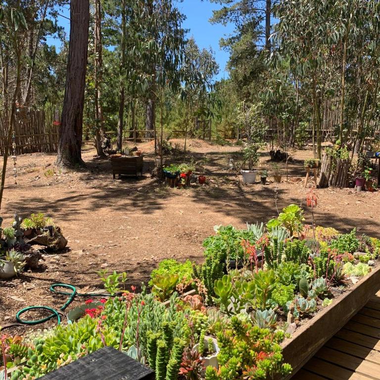 Cabaña en el Bosque - Two-Bedroom House - 26
