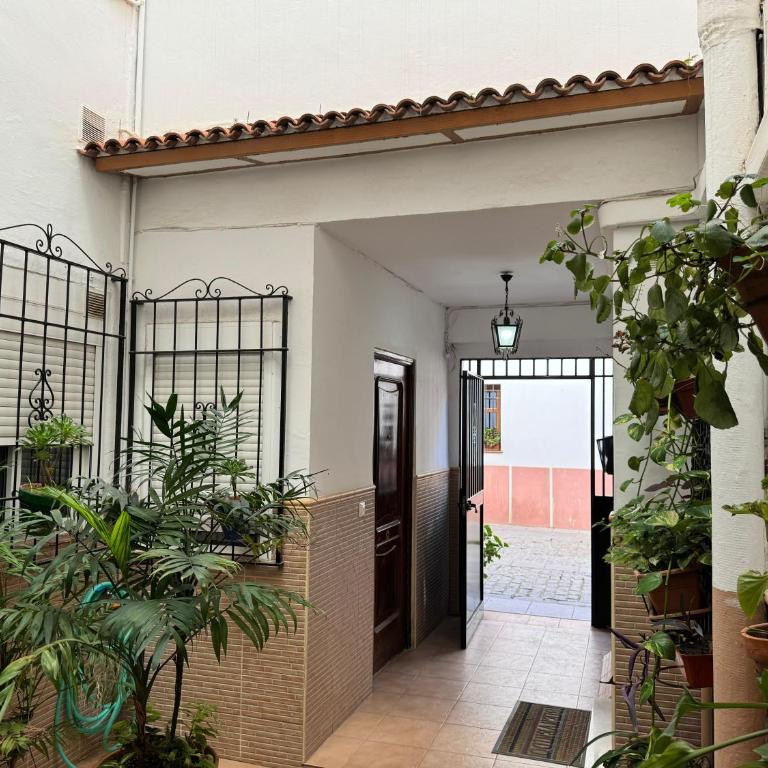 Apartamento San Basilio Bookish Place - One-Bedroom Apartment - 18