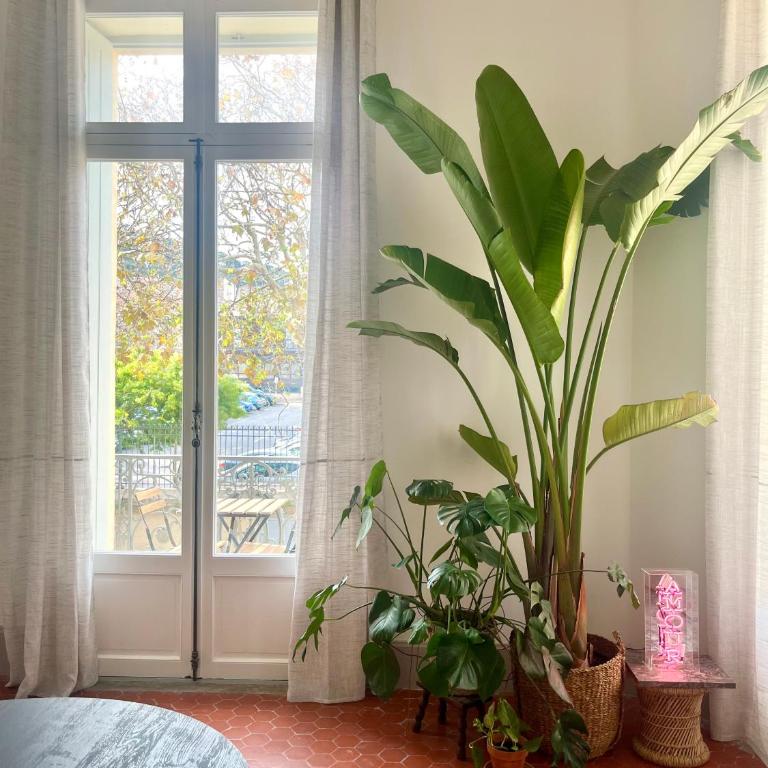 L'échappée sètoise - Appartement Haussmannien - localisation exceptionnelle - proche canal - Apartamento con balcón - 3