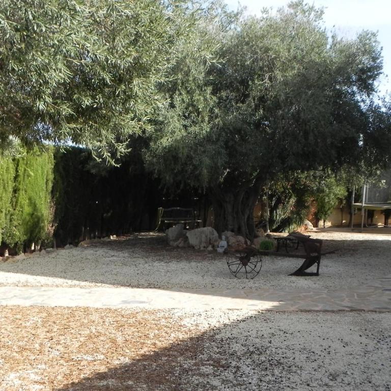Beautiful villa with a pool Mallorca - Villa Sayana - Villa - 32
