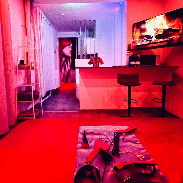 Maison de Monplaisir Love Room - Lyon - Villa 1 Chambre - 10