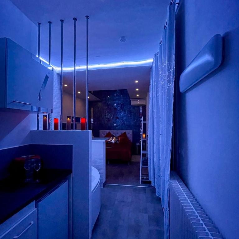 Maison de Monplaisir Love Room - Lyon - Villa 1 Chambre - 12