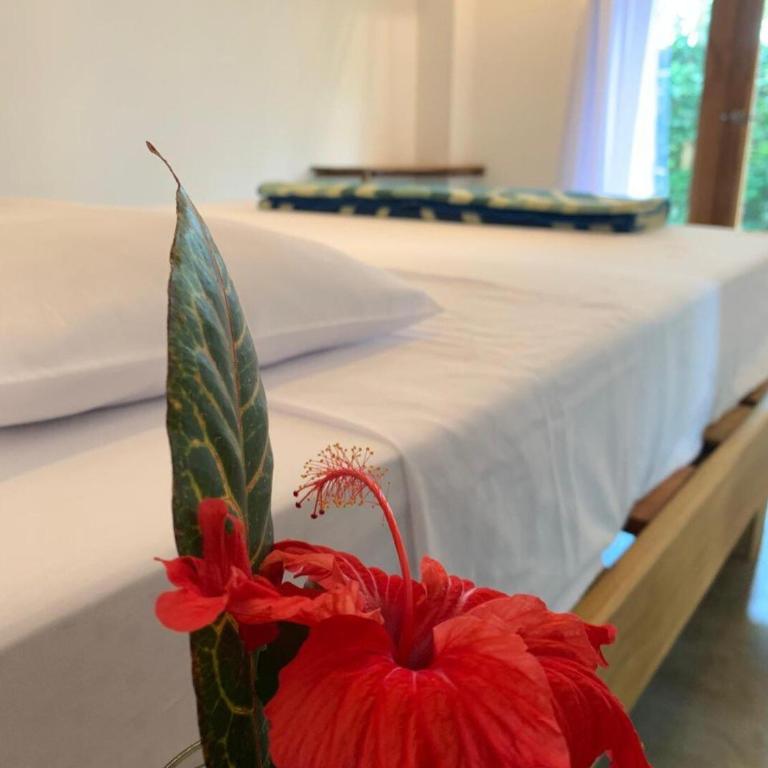 Casa Flora Ayampe - Two-Bedroom House - 15