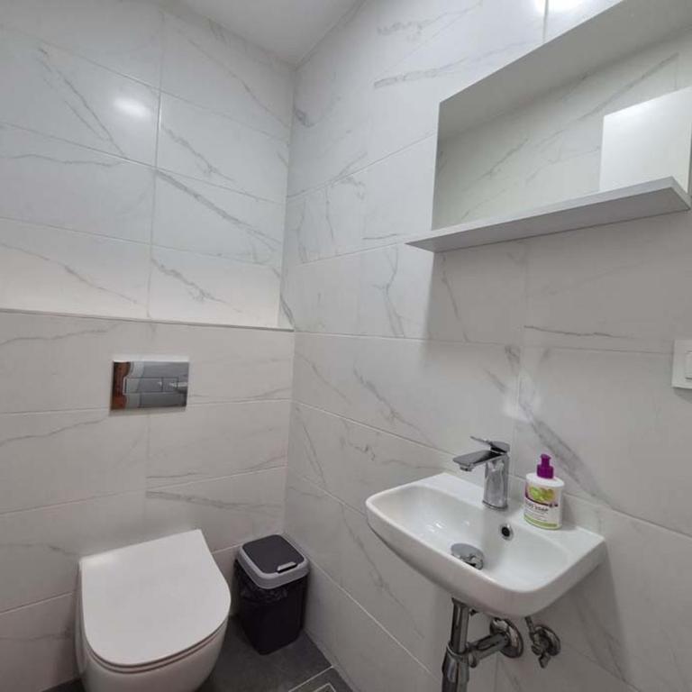 Park Vila New Luxury apartments with garage - Apartman sa 2 Spavaće Sobe - 46