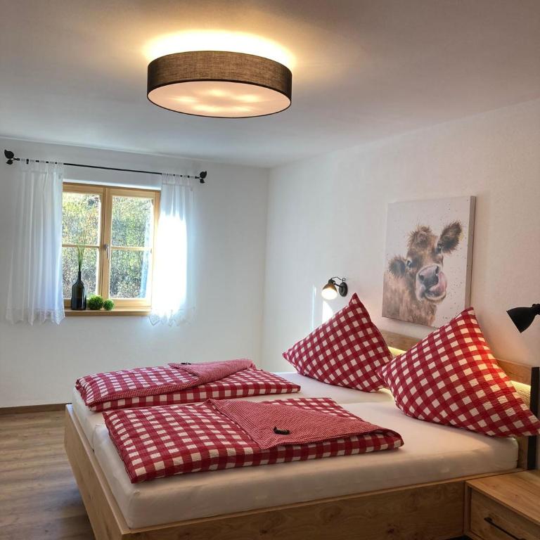 Ilgerhof Ferienwohnungen - Apartment mit Blick auf die Berge - 1