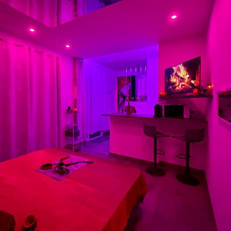 Maison de Monplaisir Love Room - Lyon - Villa 1 Chambre - 14