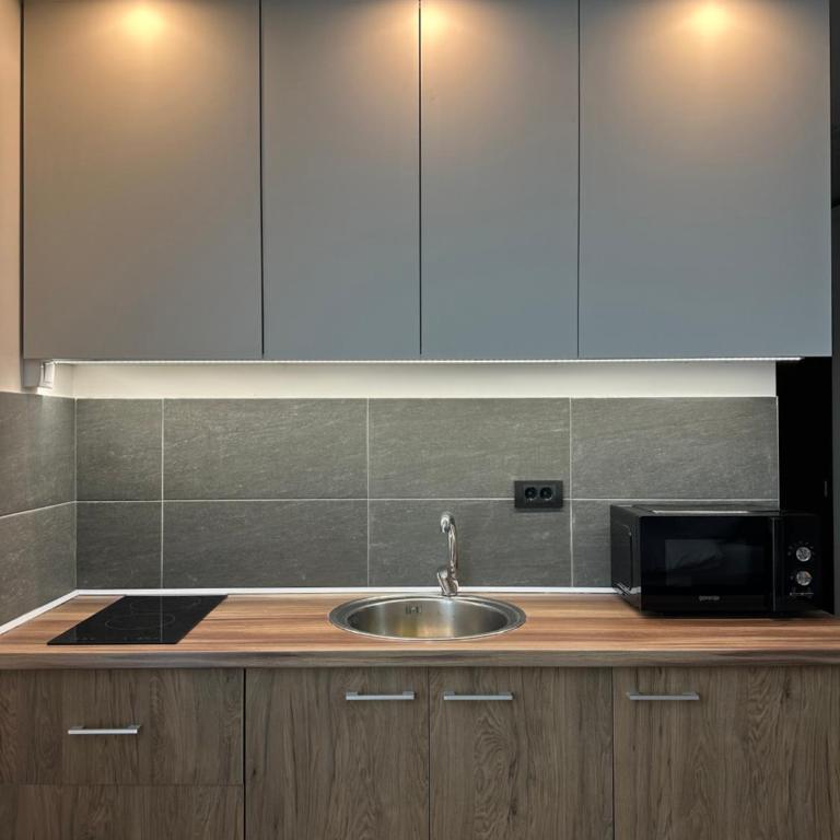 Waves Kopaonik, Residence Hill - Apartman sa 1 Spavaćom Sobom - 9