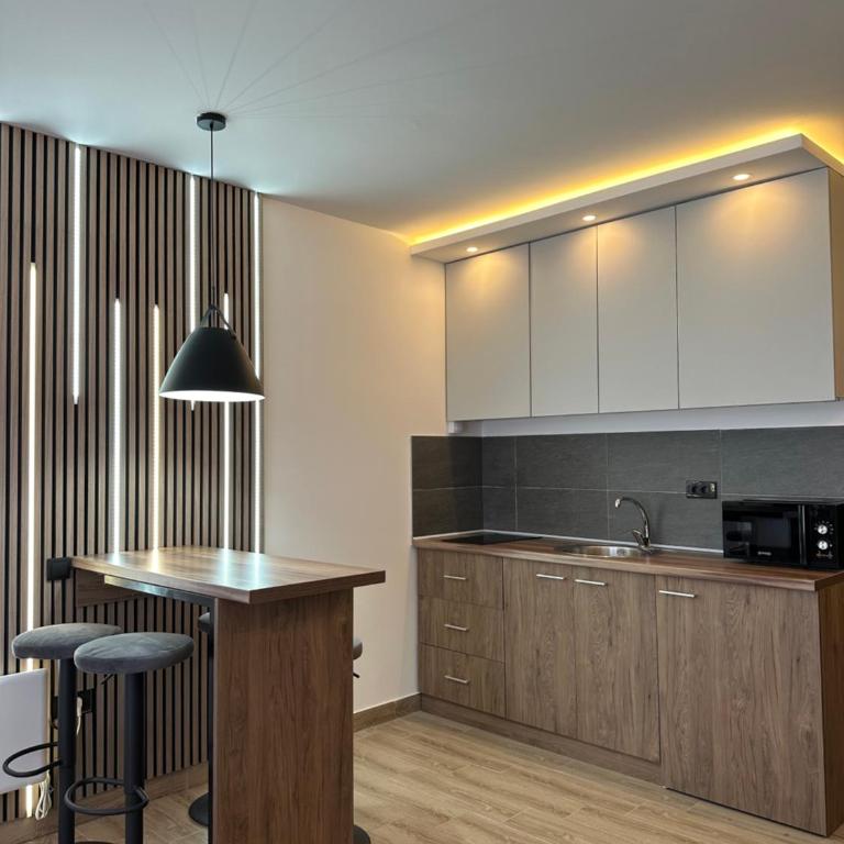 Waves Kopaonik, Residence Hill - Apartman sa 1 Spavaćom Sobom - 10