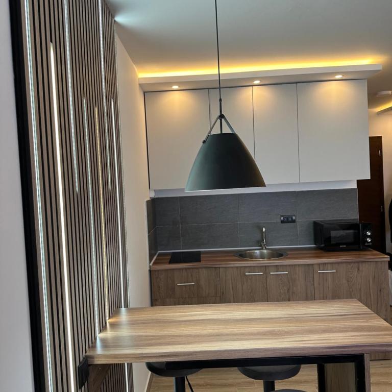 Waves Kopaonik, Residence Hill - Apartman sa 1 Spavaćom Sobom - 17