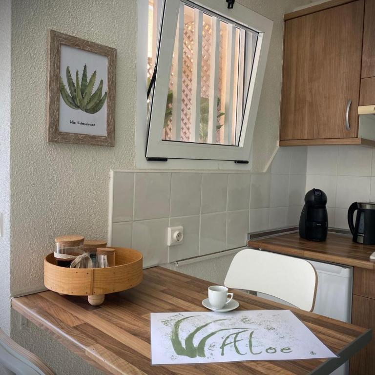 Aloe - Apartamento de 1 dormitorio - 11