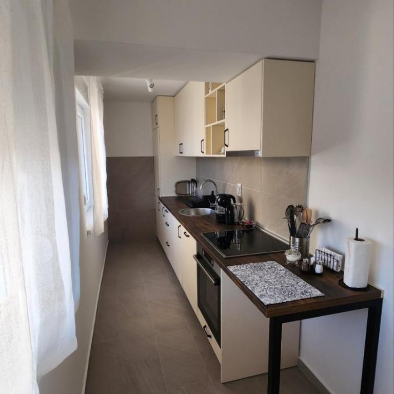 Apartman Milica - One-Bedroom Apartment - 6
