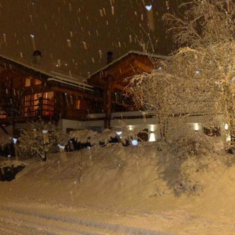 Chalet L'échappée belle - Chalet - 45