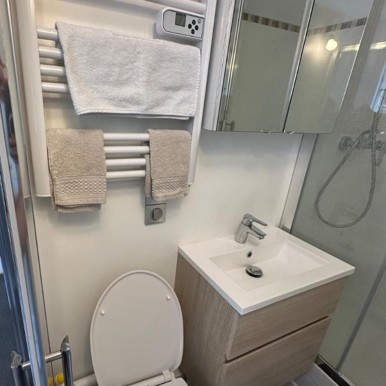 Beautiful Studio Paris Eiffel Tower - Appartement 1 Chambre - 10