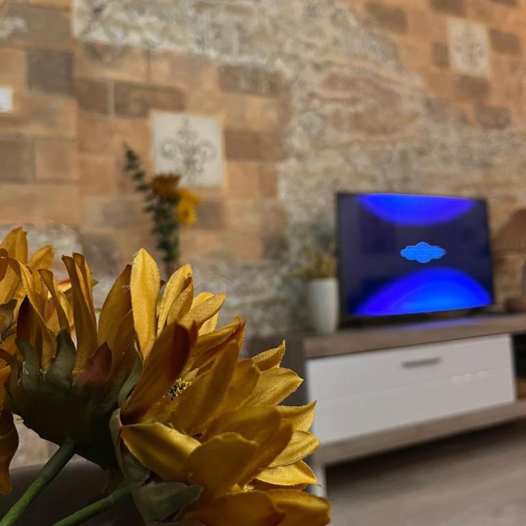 Apartman A 24 - Apartman sa 1 Spavaćom Sobom - 5