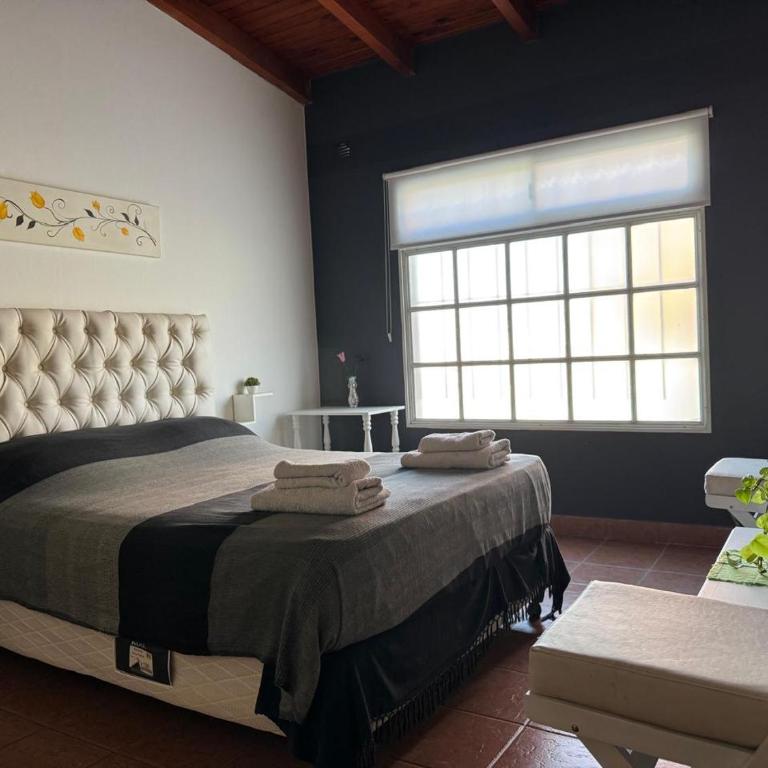 Alquiler por Día Alca!!!! - Apartamento de 1 dormitorio - 15