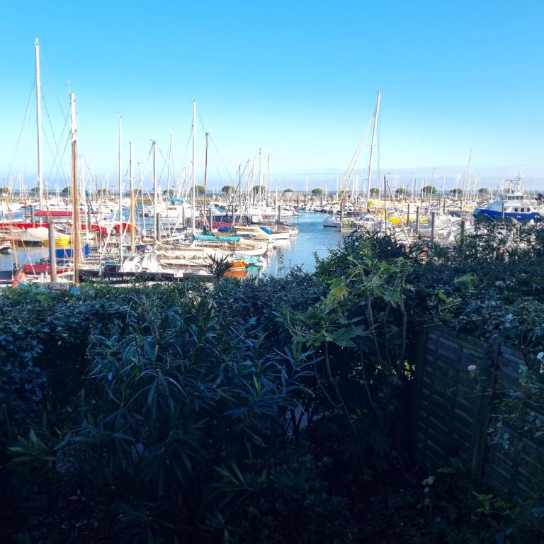 Face au port - Vue mer - Jardin - Wifi - Ménage - 4 pers - Apartment mit 1 Schlafzimmer - 34
