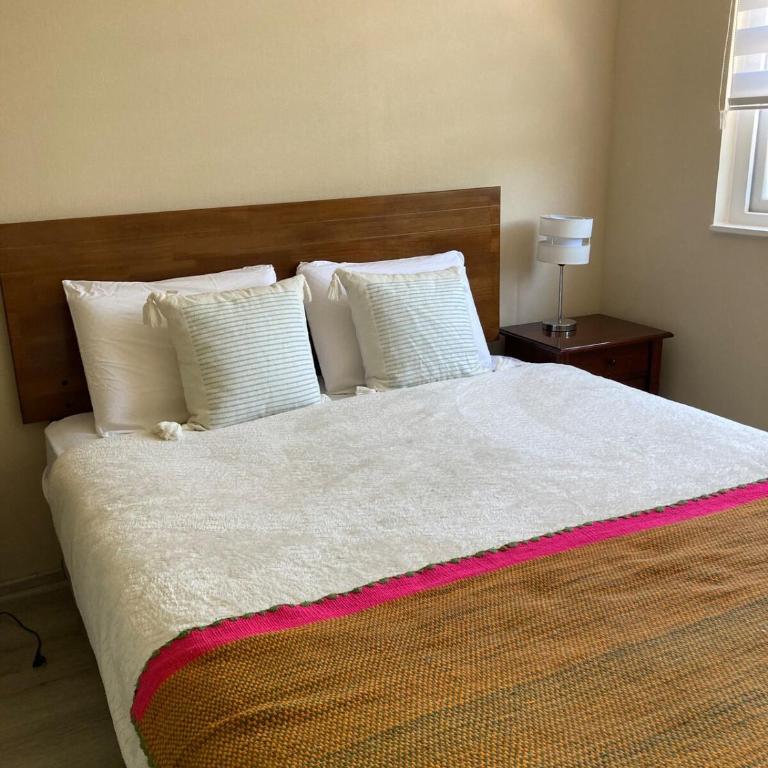 Central Pucon Apartment - Two-Bedroom Apartment - 5