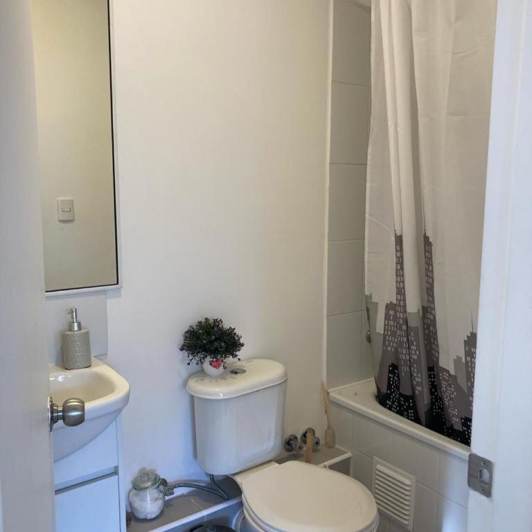 Central Pucon Apartment - Two-Bedroom Apartment - 7