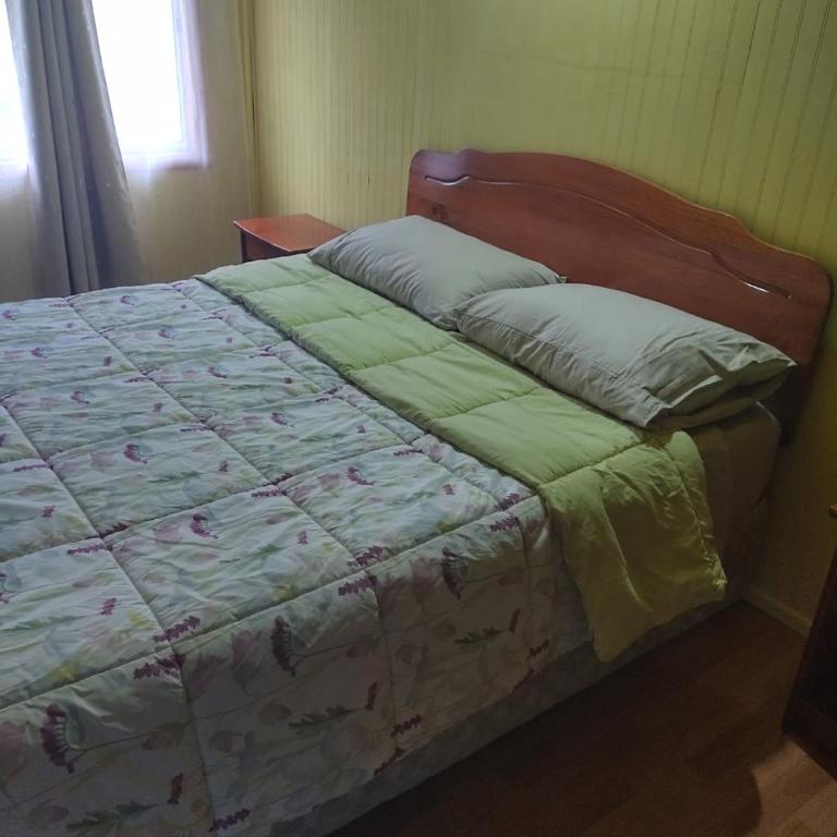 Cabaña Hornopiren 1 - Two-Bedroom House - 9