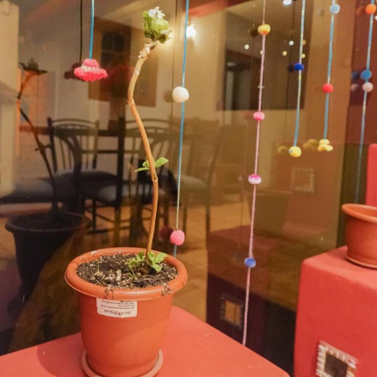 WARM AND CENTRAL HOUSE WITH SPECTACULAR VIEW OF CUSCO - Habitación con cama grande - 20