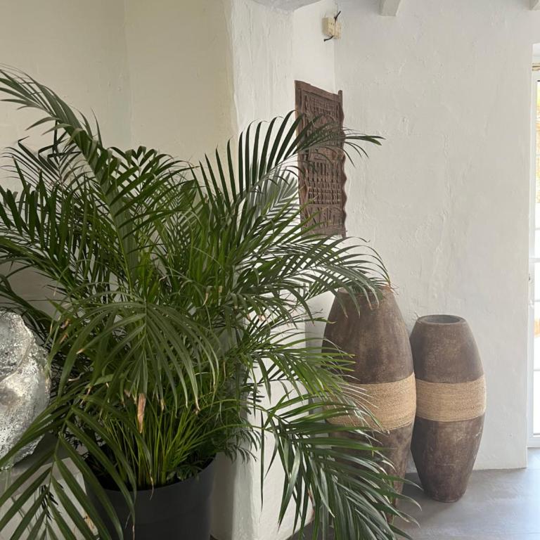 El Cortijo - Villa - 22