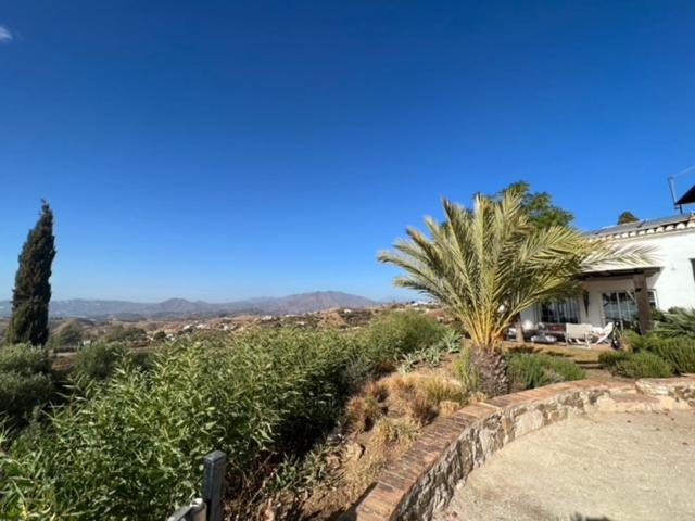 El Cortijo - Villa - 34