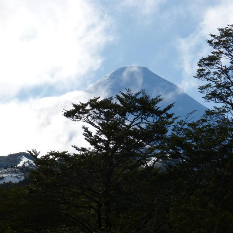 Cabaña Volcán de Puerto Octay - Casa Unifamiliar de 2 dormitorios - 66