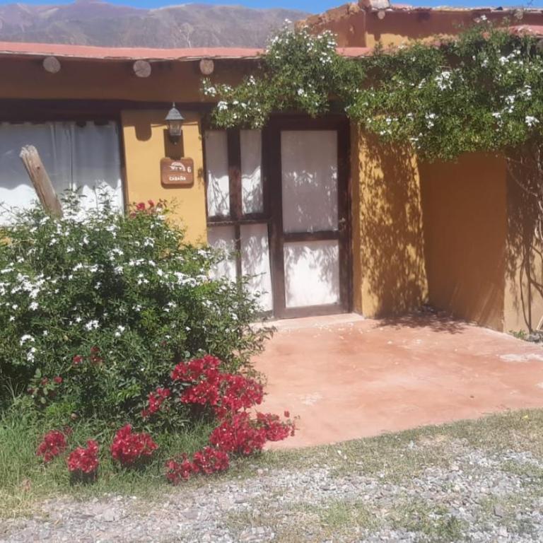 CABAÑAS Sumaypacha - Habitación cuádruple - 31