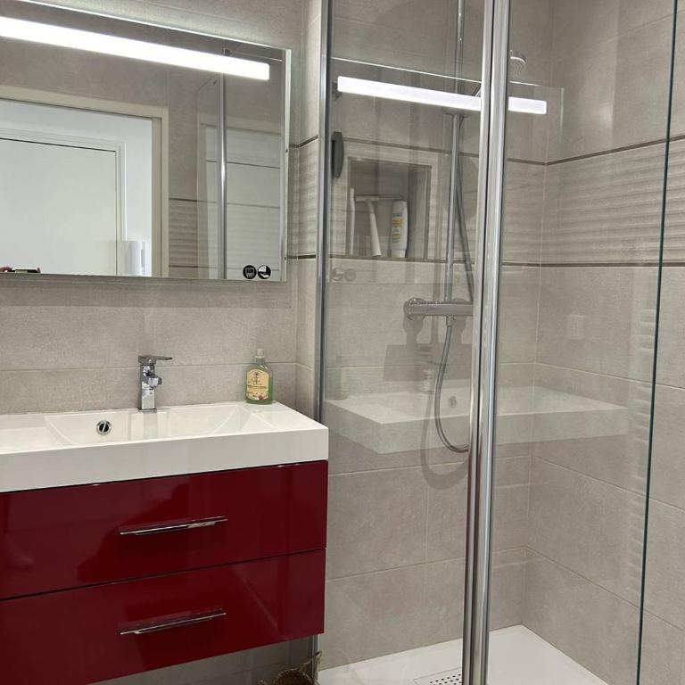 Appartement rénové avec garage et climatisation au Lavandou - FR-1-251-850 - Apartamento - 11