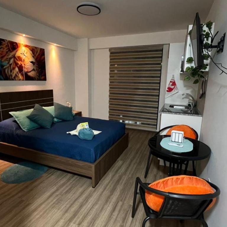 Monoambiente excelente ubicación - Apartamento de 1 dormitorio - 1