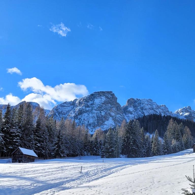 Apartment - Alpin Chalet Frenademetz - Appartamento - 34