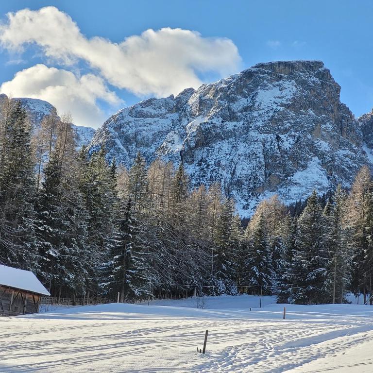 Apartment - Alpin Chalet Frenademetz - Appartamento - 35