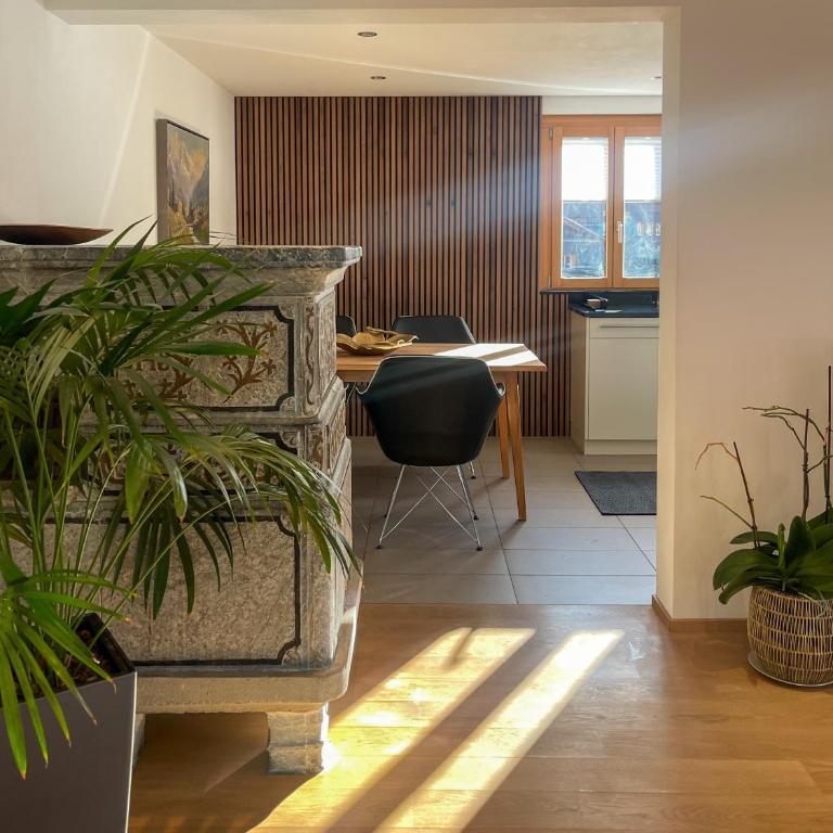Zer Treichi - Apartment - 3