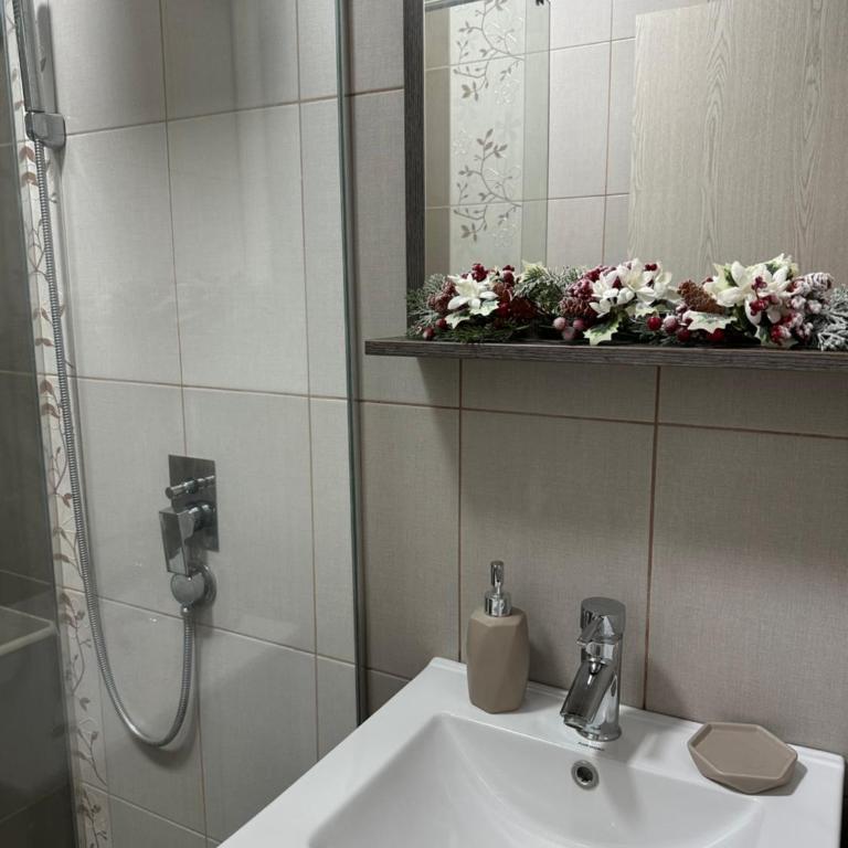 Apartment Mountain View Haven - Apartman sa 2 Spavaće Sobe - 9