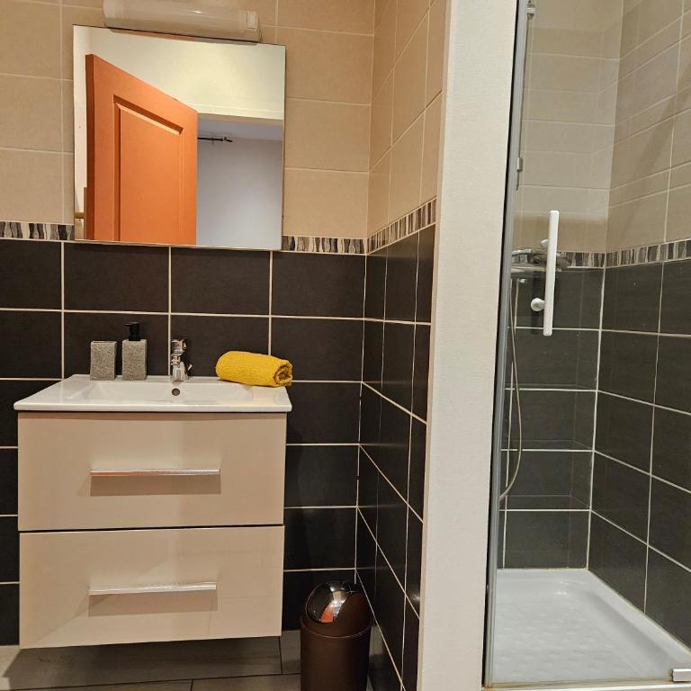 Vichy - One-Bedroom Apartment - 1