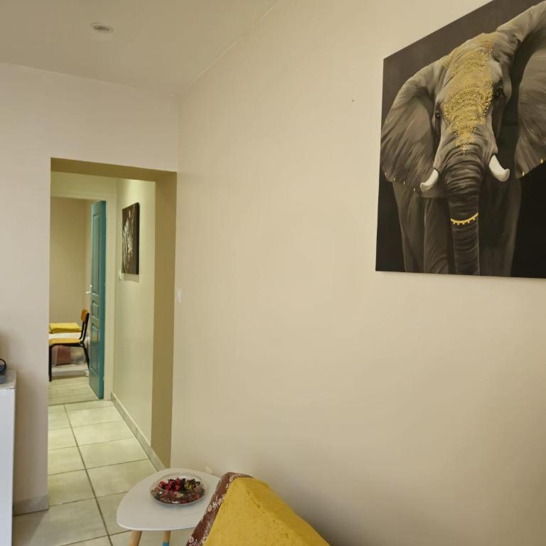 Vichy - One-Bedroom Apartment - 2