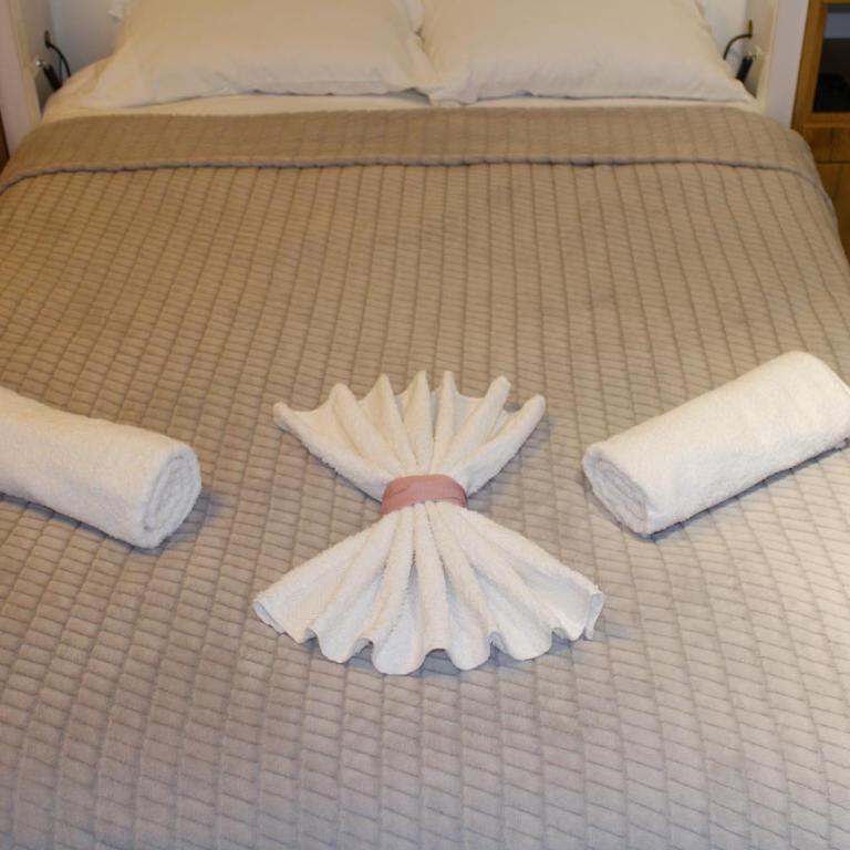 studio apartman Najdanović CENTAR - Deluxe Double Studio - 17