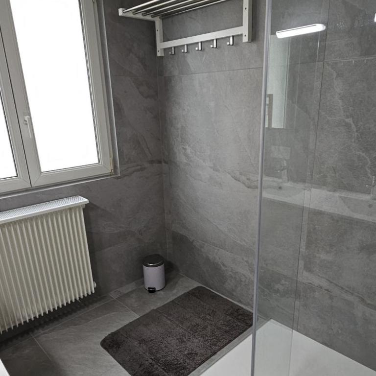 Escapade ville et nature à Strasbourg - Apartamento de 3 dormitorios - 11