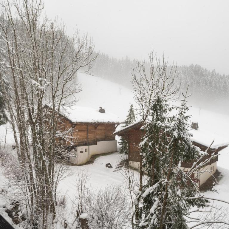 3-bedroom Duplex Apartment, Ski in-out - Appartement 3 Chambres - 23