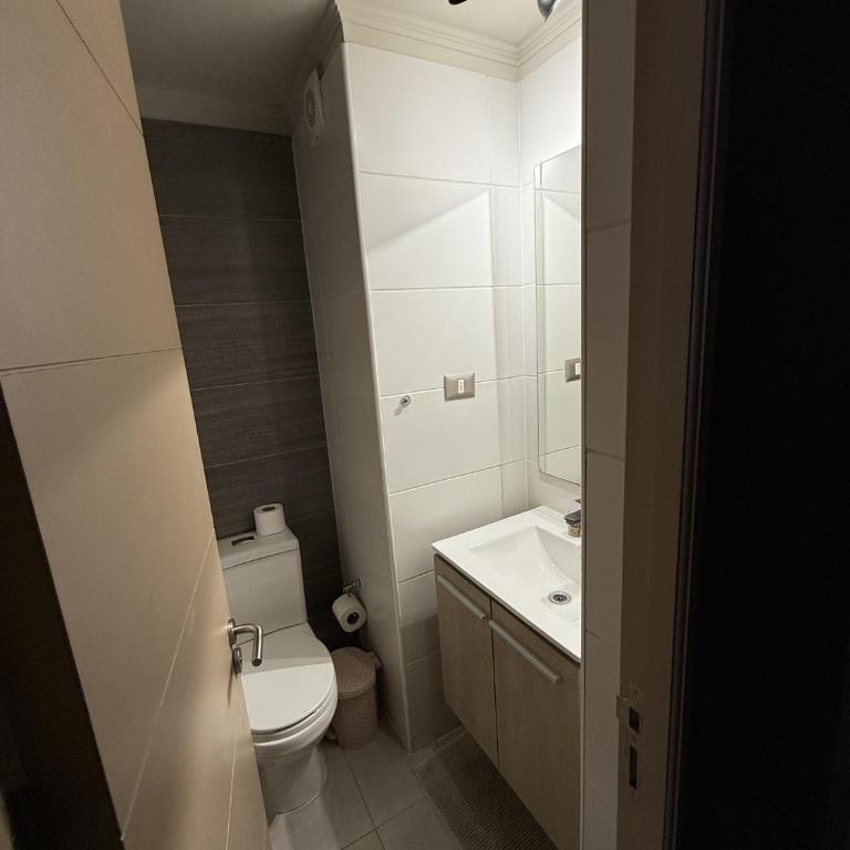 Family STGO Lounge Penthouse with best Andes View - Apartamento - 64