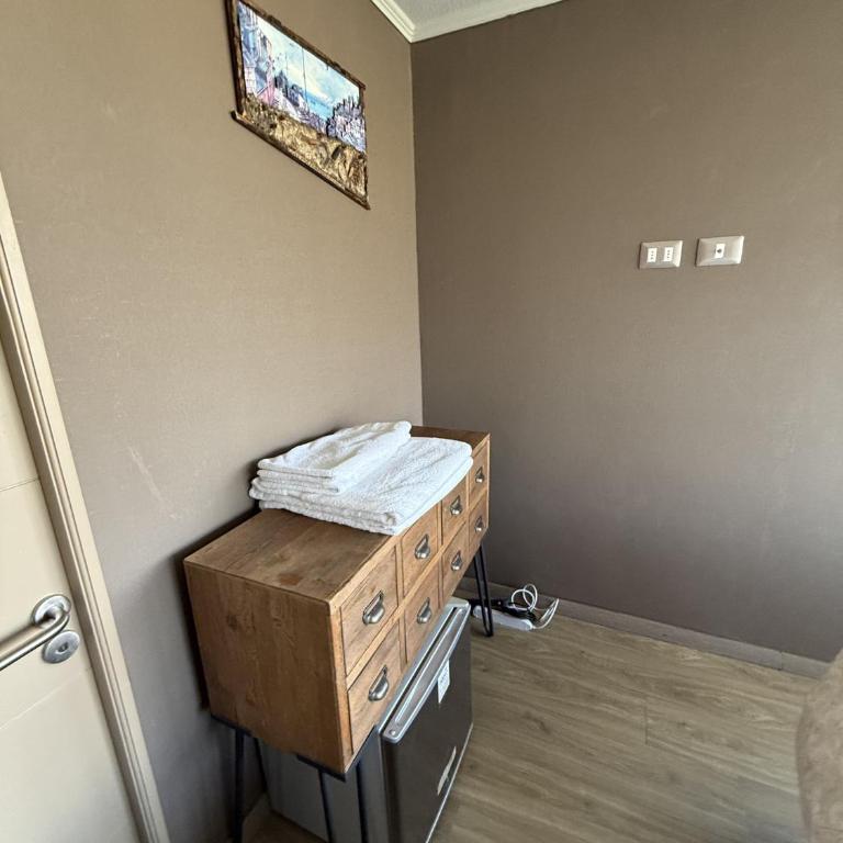 Family STGO Lounge Penthouse with best Andes View - Apartamento - 13