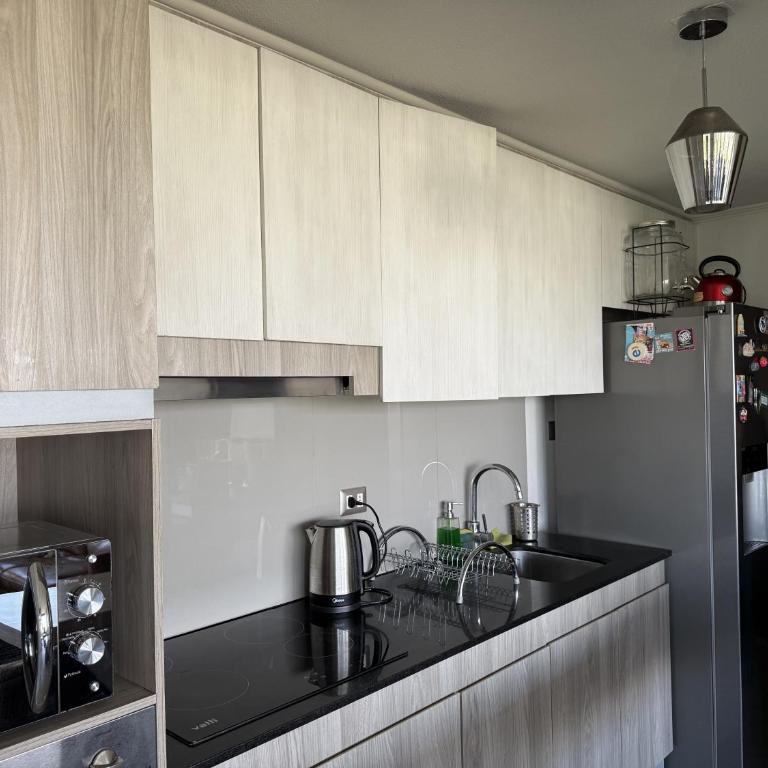 Family STGO Lounge Penthouse with best Andes View - Apartamento - 65