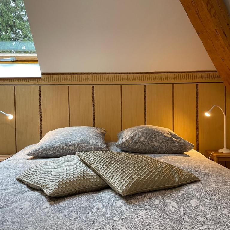 l'Ancienne Ecole du Villard - Chambre Double Deluxe - 1