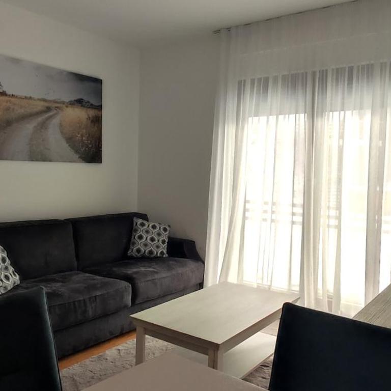Vila Irina Kopaonik - Apartman Jovana - Standard Studio - 4
