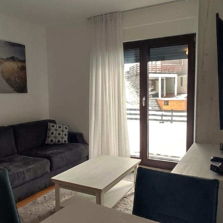 Vila Irina Kopaonik - Apartman Jovana - Standard Studio - 5