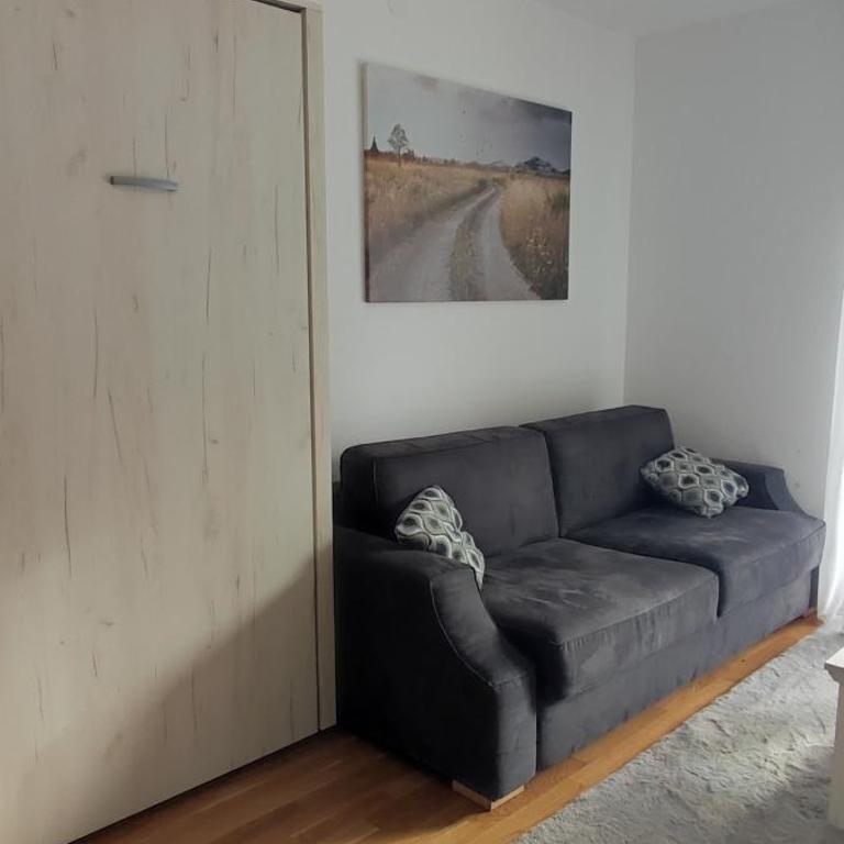Vila Irina Kopaonik - Apartman Jovana - Standard Studio - 6